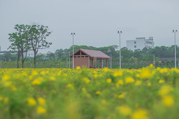 瑞金幸福花海项目塑木廊架(图4)